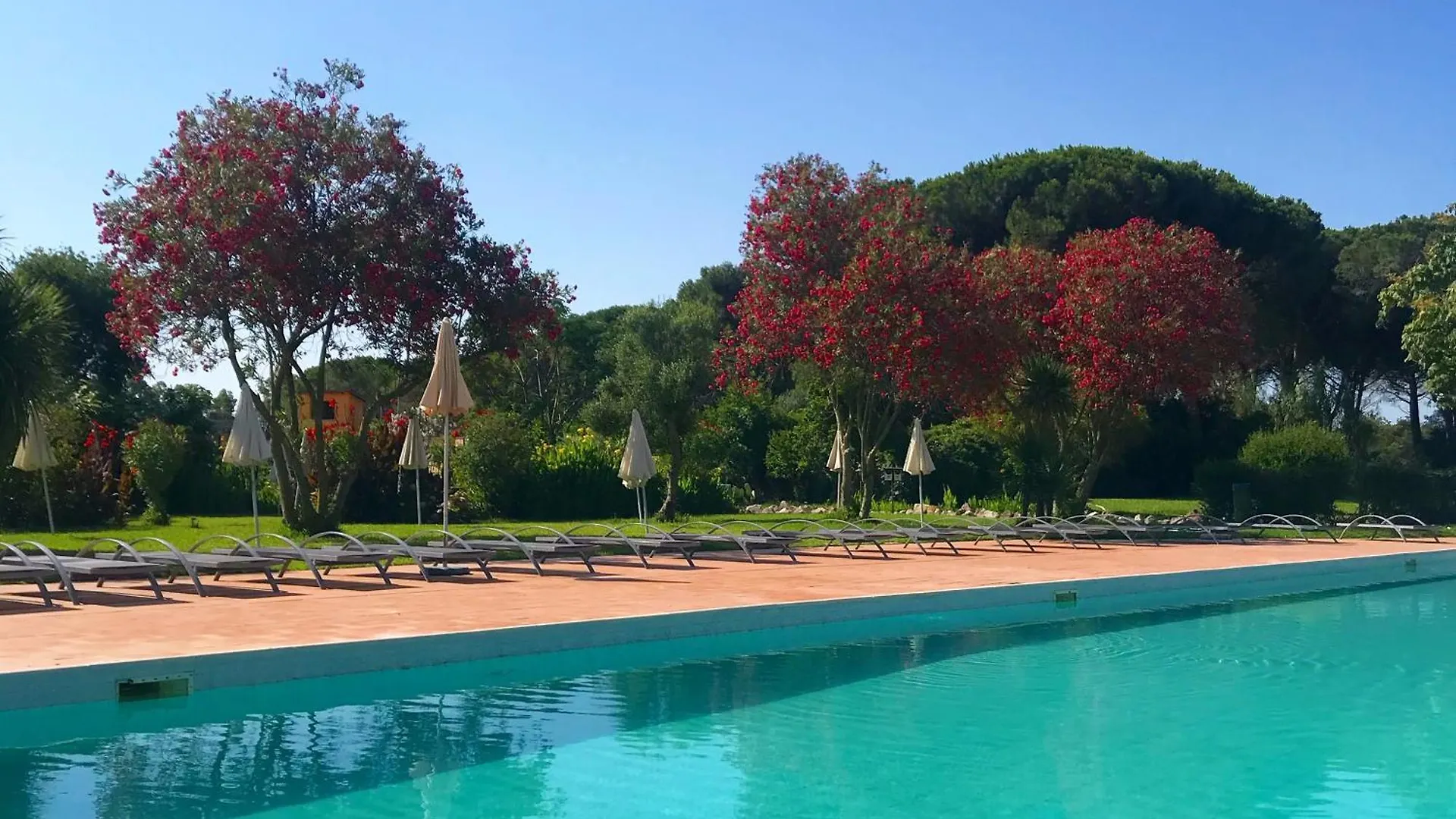 Horse Country Resort Congress & Spa - Hotel Castello アルボレーア